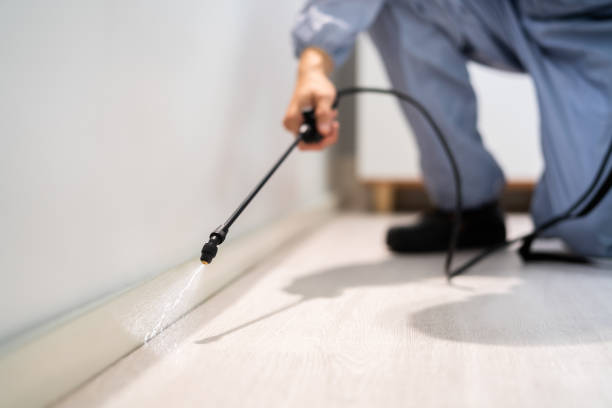 Bed Bug Pre-Treatment Preparation Assessment in Cambridge